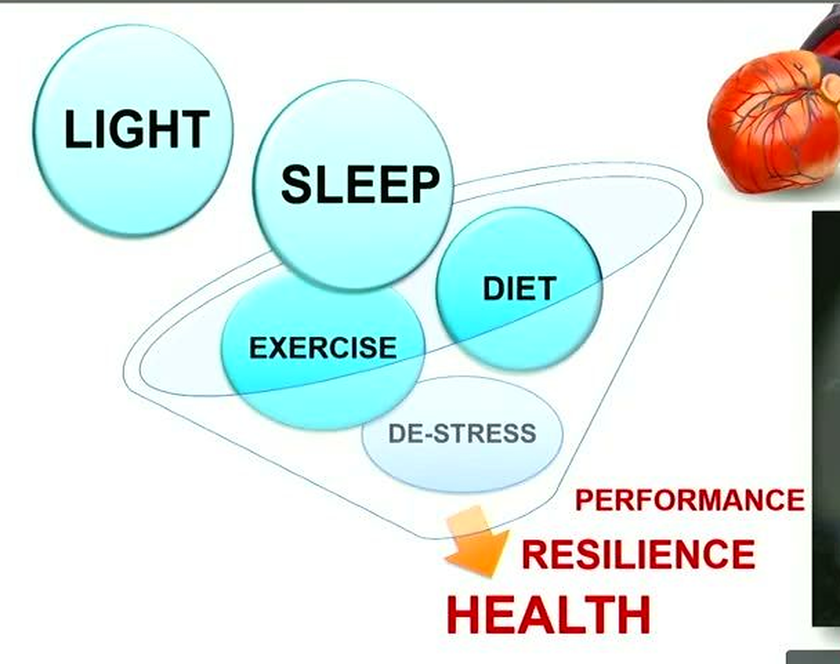 Diagram of how light, sleep, diet, and exercise support health and resilience
