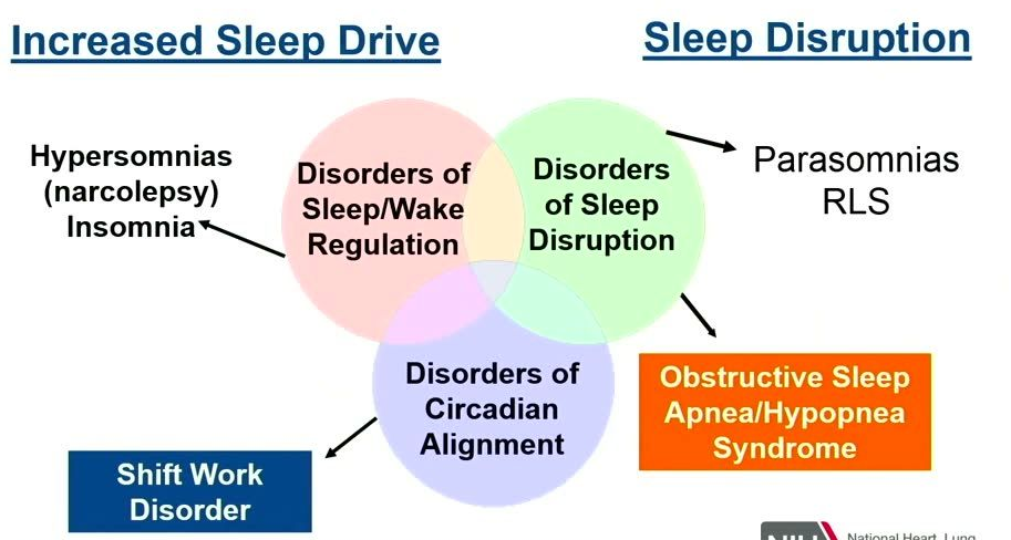 Three overlapping colored circles (pink, green, and blue) forming a Venn diagram in the center. The pink circle contains the text 'Disorders of Sleep/Wake Regulation'. The green circle contains 'Disorders of Sleep Disruption'. The blue circle contains 'Disorders of Circadian Alignment'. Arrows point from the circles to external text boxes.
